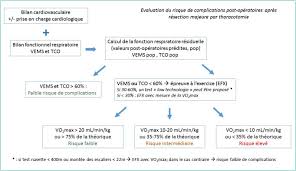 Trois explications ont été proposées pour le développement de ces sacs chez les dinosaures : Bilan Fonctionnel Preoperatoire Du Cancer Bronchique Et Rehabilitation Preoperatoire Sciencedirect
