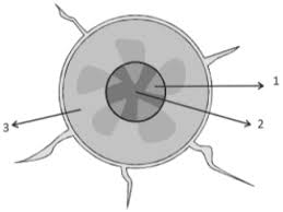 Contoh soal skb tenaga pendidik dan guru. Contoh Soal Skb Tenaga Pendidik Skb Guru Smp Ipa Terpadu Cpns 2019 Abi Awam Bicara