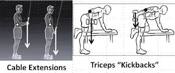 The cable tricep kickback is one of the most powerful tricep exercises. Which One Of The Following Statements Regarding The Chegg Com