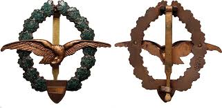 Buy iphone 11 austrian flag österreich austria austrian emblem case: Austria Pilot Field Badge Osterreich 2 Republik Militarpilot Abzeichen Ma Shops