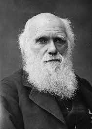 Charles Darwin comió carne de muchas especies de animales porque sentía  curiosidad por su sabor