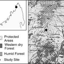 Fanasana mariazy malagasy pdf : Pdf Review Of Lemurs Of Madagascar
