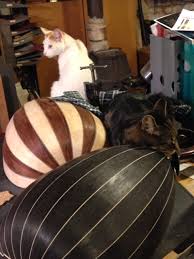 Image result for Nussbraun 1971 Wartburg