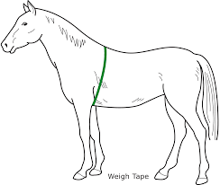 A Basic Guide To Feeding Your Horse Allen Page Horse Feed