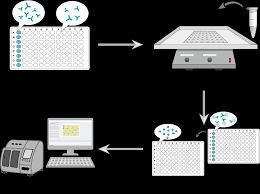 Image result for Neutralization Test