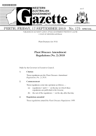 Image result for Adenodolichos punctatus