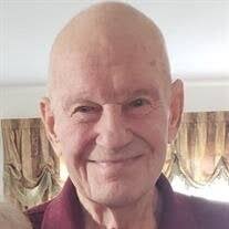 Mr. Paul Robert Bald of Hoffman Estates Obituary