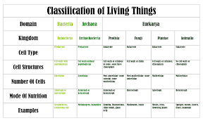 Kingdoms And Domains Of Living Things Teaching Biology