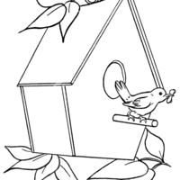 Desenho De Casa De Passarinho Na Arvore Para Colorir Tudodesenhos Passeriformes é uma ordem da classe das aves, conhecidos popularmente como pássaros ou passarinhos. desenho de casa de passarinho na arvore