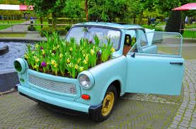 Image result for flowers and car