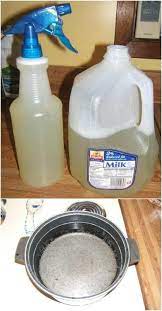 Remove the garlic cloves (you don't need to peel them though) from the head of garlic. 10 Homemade Insecticides That Keep Your Garden Pest Free Naturally Diy Crafts