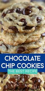 Best Chocolate Chip Cookie Recipe Seriously Crazy For Crust Recipe In 2020 Best Chocolate Chip Cookies Recipe Chocolate Chip Recipes Cookies Recipes Chocolate Chip