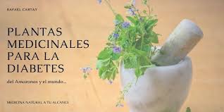 Maybe you would like to learn more about one of these? Plantas Medicinales Para La Diabetes 20 Del Amazonas