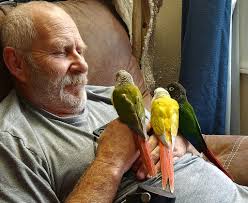 are parrot owners interested in meeting up with their birds?