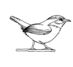 South carolina state quarters coloring pages in 1999, the united states mint began striking a new quarter about every ten weeks to honor one of the 50 states—that is, five new quarters every year—until the program ended. Https Www Scstatehouse Gov Studentpage Coolstuff Coloringbook Pdf