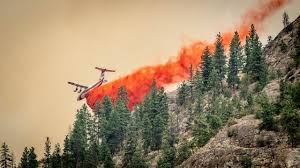 Advisor submits initial action plan and specialized. B C Declares State Of Emergency As Wildfires Grow Forcing More Evacuations Cbc News