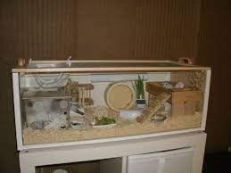 Homemade Hamster Cage Accessories Hamster Cage Hamster Cages Cool Hamster Cages