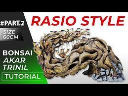 37 Cara Membuat Bonsai Aquascape Rasio Style Akar Senggani Dan Akar Trinil Youtube Di 2021 Bonsai