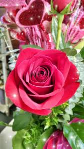 Goodness and light bouquet $39.99 buy now. Celeste S Flower Barn Home Facebook