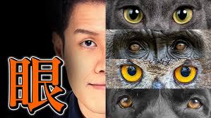 初見実況#4】Universe for Sale｜この世界、普通じゃない