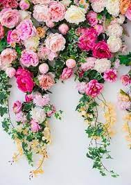 Background free stock photos we have about (8,408 files) free stock photos in hd high resolution jpg images format. Photo Backdrop Photography Backdrops Vinyl Photography Backdrops Alternative Backdrops Flower Wall Wedding Flower Wall Photography Backdrop