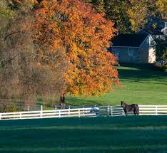 Looking for that perfect gift or just shopping for yourself? Baltimore County Horse Collection Visitmaryland Org
