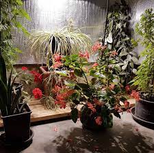 Hundred mile house garden centres & nurseries. Interior Gardeners Facebook