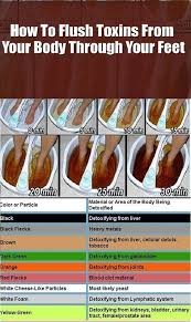 Our Feet Are One Of The Most Hard Working Parts Of Our Bodies We Re Almost Healthy Detox Foot Detox Detox
