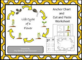 Life Cycle Of A Flower Anchor Chart And Worksheet
