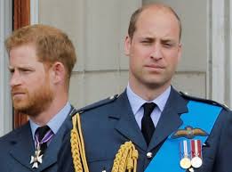 Truth About Prince William Telling Harry 'You're Dead To Me,' 'Will Never  See You' | IBTimes