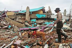 Un sismo de magnitud 3.8 se sintió esta tarde en arequipa. La Jornada Se Eleva A 78 El Numero De Muertos Por Sismo En Indonesia