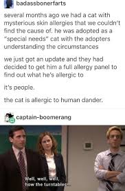 First song recorded by lose my number! How The Turntables Turn How The Turntables Tumblr Funny Bones Funny