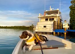 Marathon And Moving On