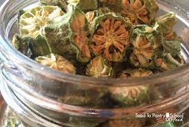 How To Dehydrate Okra Seed To Pantry School
