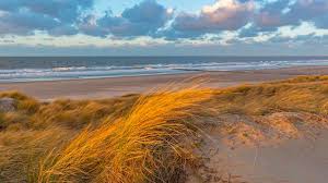 Aan het strand in nieuwpoort zijn er dan weer een heel deel brasseries, restaurants en bistro's waar je geniet van een lekker etentje met zicht op zee. Die 17 Schonsten Strande In Belgien Costa Kreuzfahrten