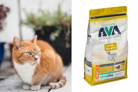 Why Has Pets At Home Ava Cat Food Been Recalled What Is Thiamine And How Many Cats Have Died