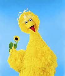 Pin By Monica Ms On Amarillo Big Bird Beautiful Birds Bird