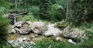 Mai mult decat atat, exista si cateva teorii in legatura cu acest fenomen. Cascada 7 Izvoare Excursie De O Zi La Izvorul Sacru Al Dacilor