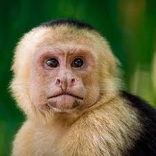 2026 Rancho Típico Don Juan, Horseback Riding tour (with Reviews)