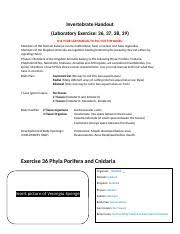 They complete worksheets on comparing. Invertebrate Handout 1409 Done Docx Invertebrate Handout Laboratory Exercise 36 37 38 39 Use Your Lab Manual To Fill Out The Boxes Members Of The Course Hero