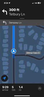 Austin Lost and Found Pets