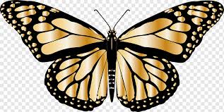 We have now placed twitpic in an archived state. Mariposa Png Images Pngwing