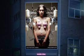 Controversial Billboards of a Woman Being Milked Were Displayed in London  for a New Anti-Speciesism Campaign | Vegan FTA