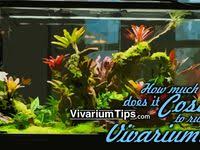 Pin On Vivariumtips My Articles