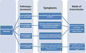 We did not find results for: Fast Detection Of Pathogenic Escherichia Coli From Chicken Meats Intechopen