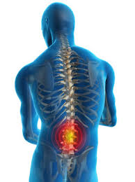 The left brain contains regions involved in speech. Pain In The Back Chapter 6 The Human Back Pain Essays By Dr Kraus