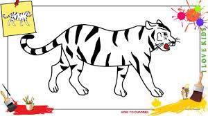 In this drawing lesson, you will learn how to draw a tiger. How To Draw A Tiger White Easy Slowly Step By Step For Beginners Youtube