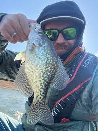 What is the crappie fishing like at Marsh Lake and are there catch and  release rules?
