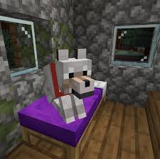 We are very interested in ideas that are unique and not just. Pet Respawning Pack Minecraft Data Pack