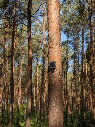 When examining the pros and cons of vaccinations, it is imperative that we look at facts instead of opinions. Dryad Networks Gains Funding For Large Scale Wildfire Detection Iot Network